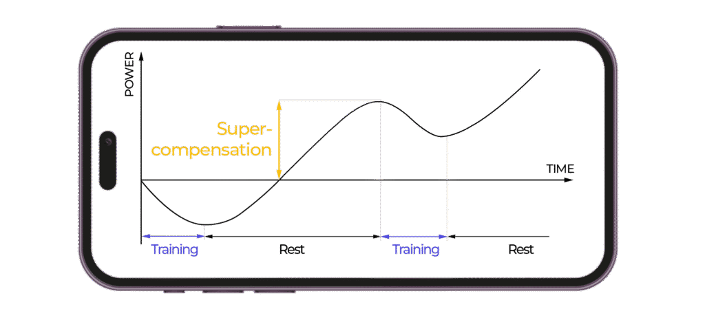 superkompensation natel e1714116812648 1024x465 1