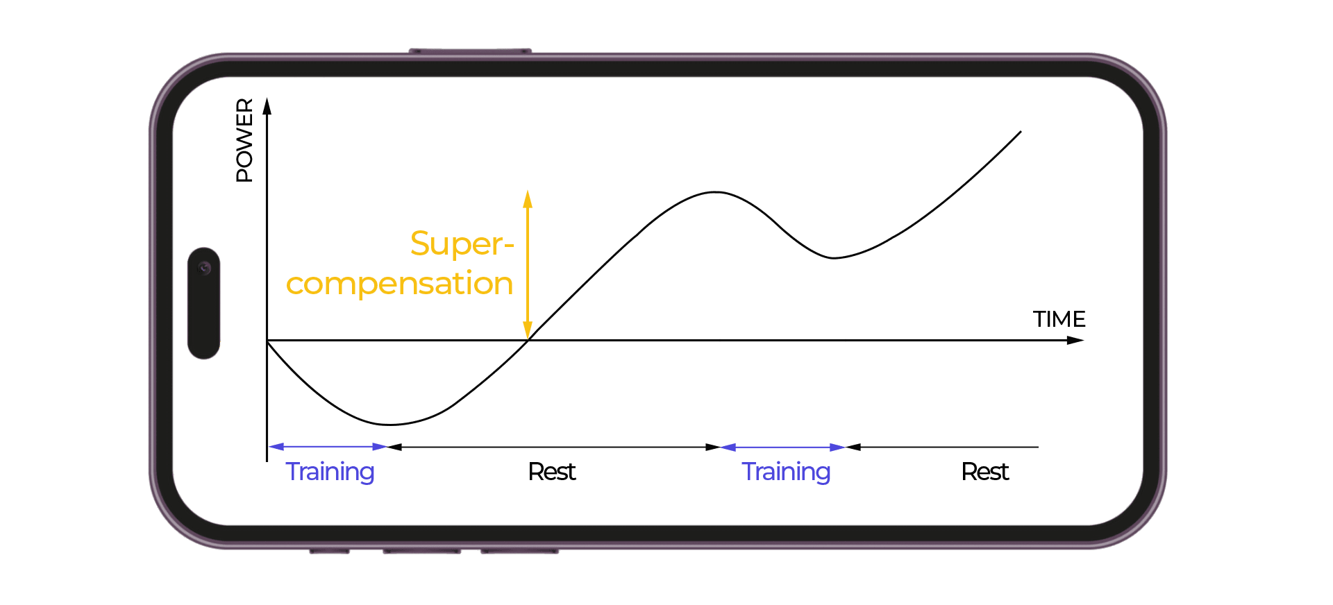superkompensation natel e1714116812648 1024x465 18.32.11